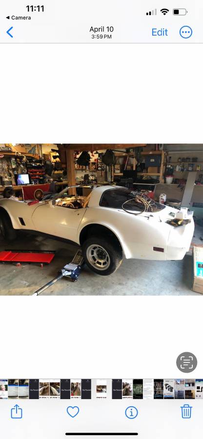 Chevrolet-Corvette-1981-White