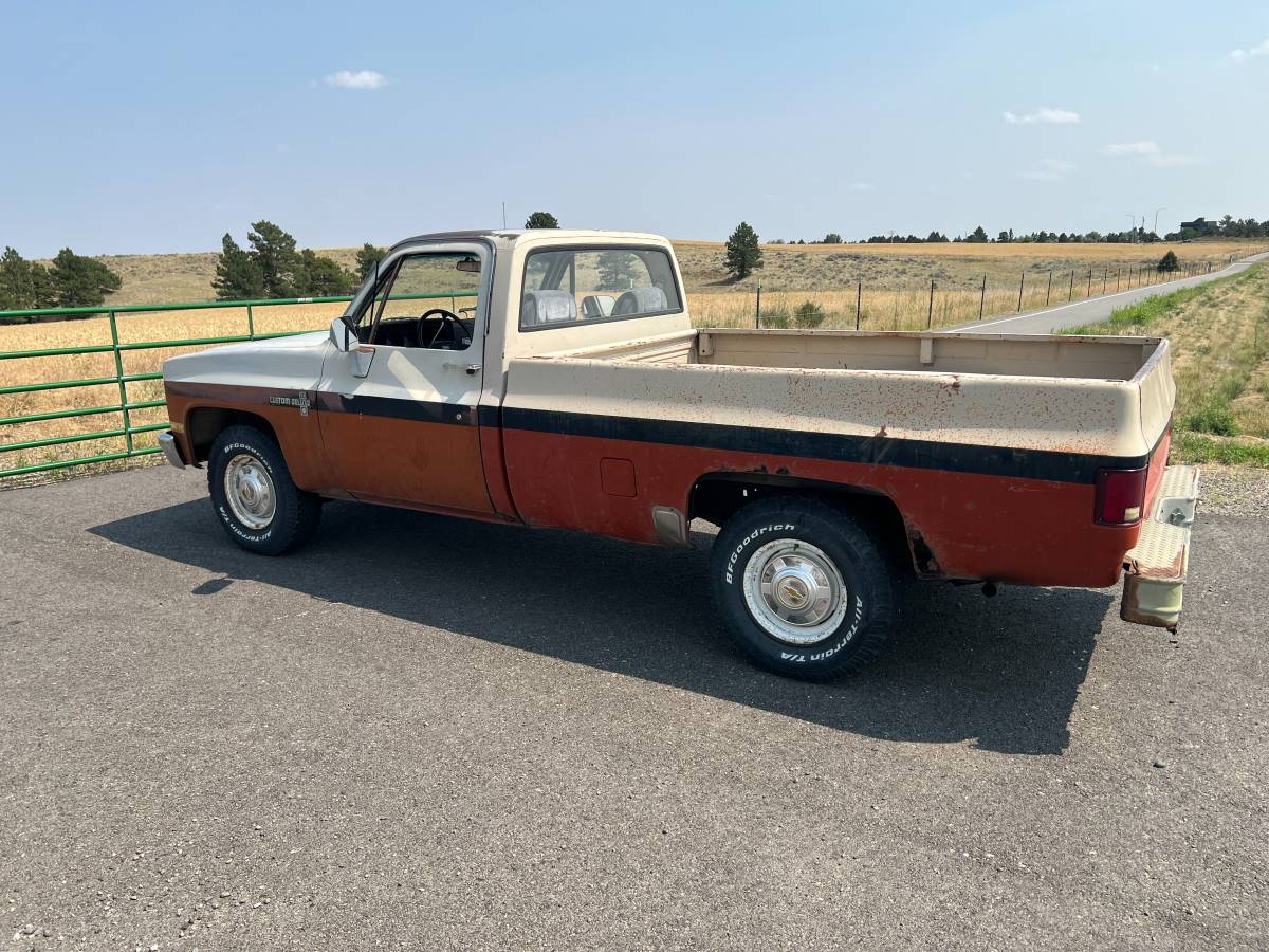 Chevrolet-Custom-deluxe-c20-1982-custom