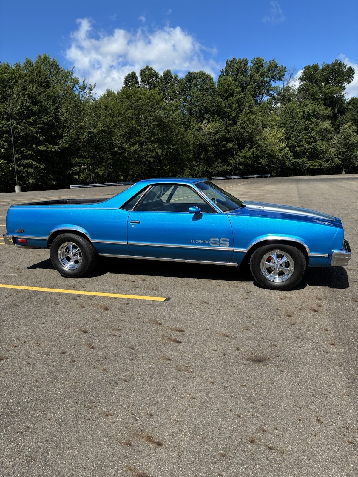 Chevrolet-El-Camino-1981-Standard-Cab-Pickup-Blue