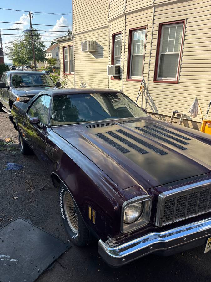 Chevrolet-El-camino-ss-1975-purple