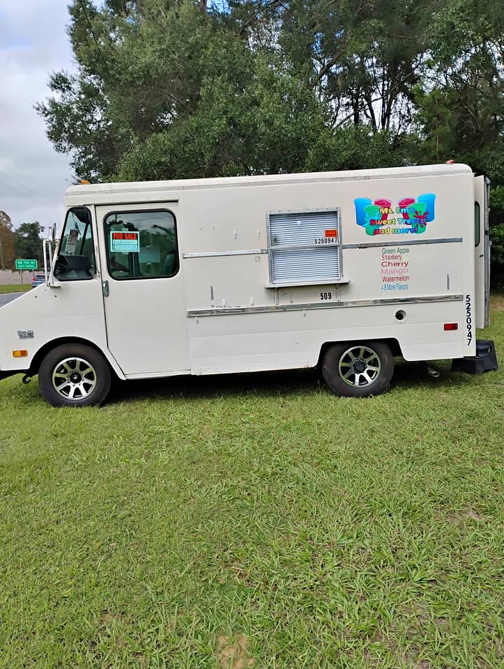Chevrolet-G-series-g30-1979