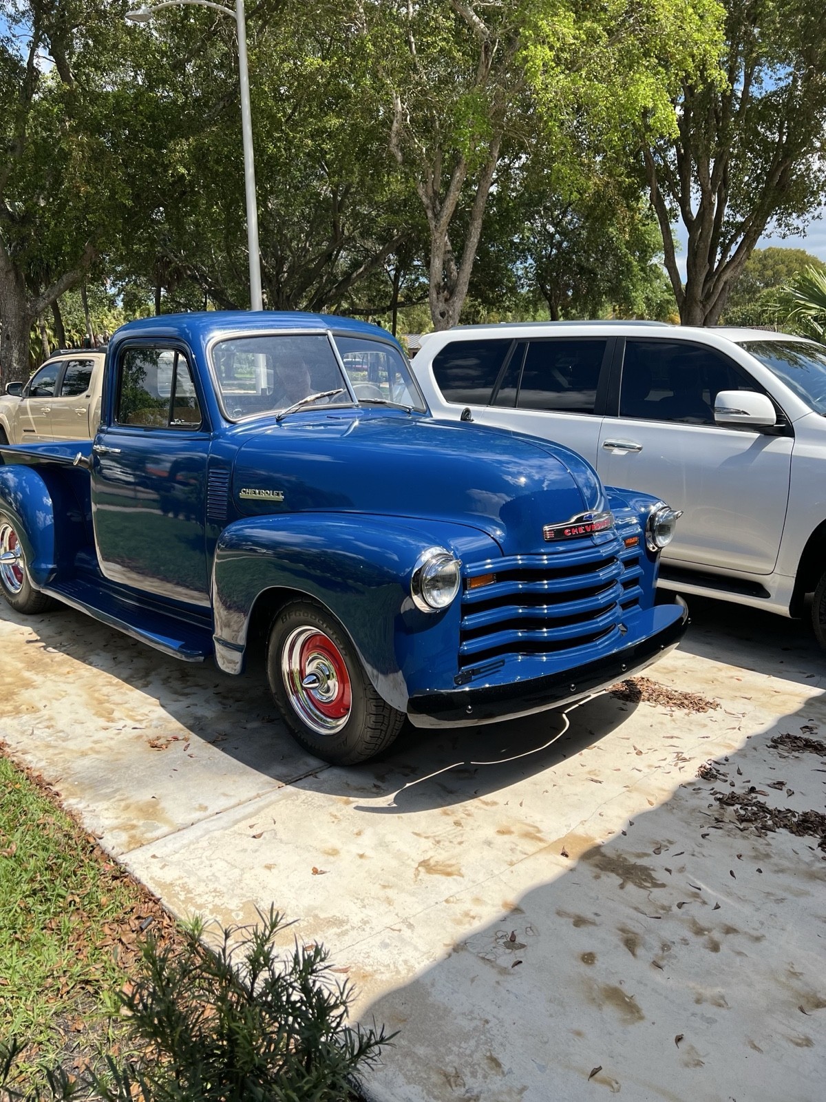 Chevrolet-Half-Ton-1953