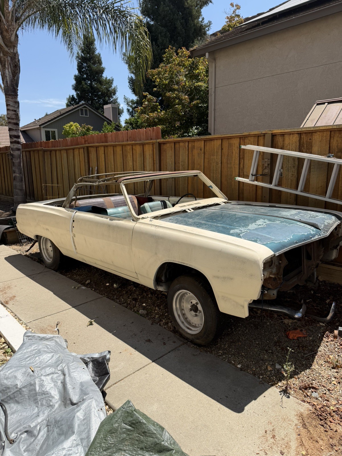 Chevrolet-Malibu-1965-Convertible