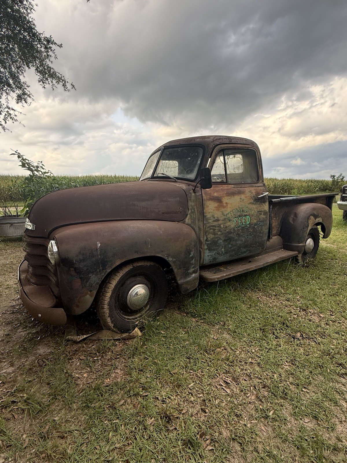 Chevrolet-Other-Pickups-1951-Standard-Cab-Pickup