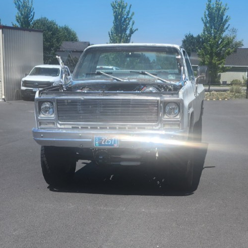 Chevrolet-Other-Pickups-1979-Standard-Cab-Pickup