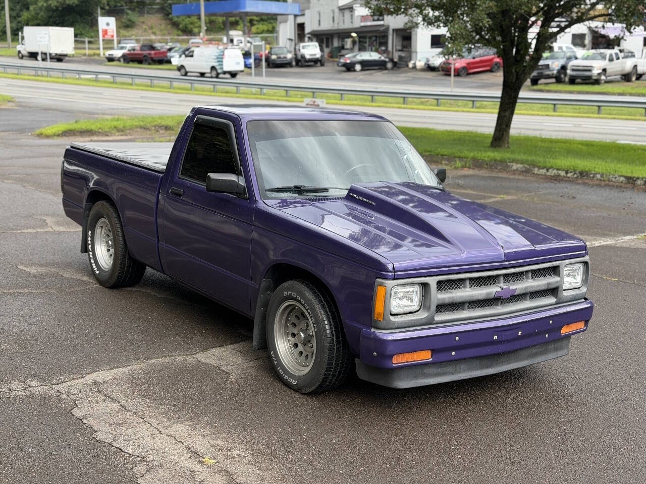 Chevrolet-S-10-1991-Purple