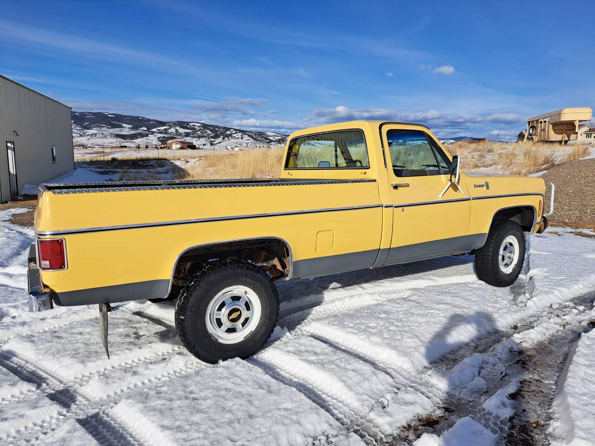 Chevrolet-Scottsdale-20-1979-yellow