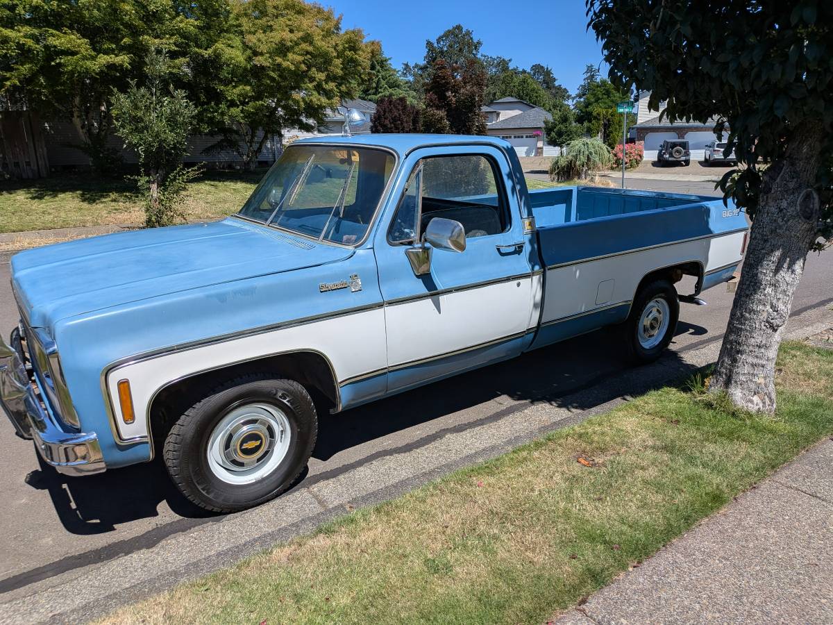 Chevrolet-Silverado-1980-Blue