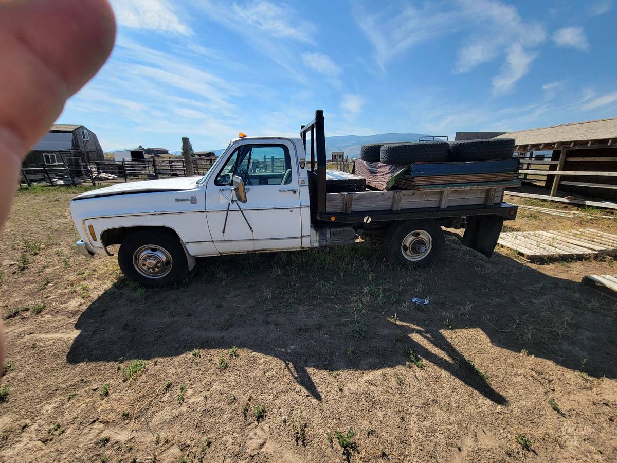 Chevy-1-ton-1978-White