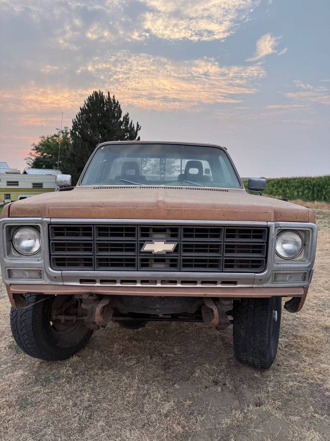 Chevy-1500-1979-Brown