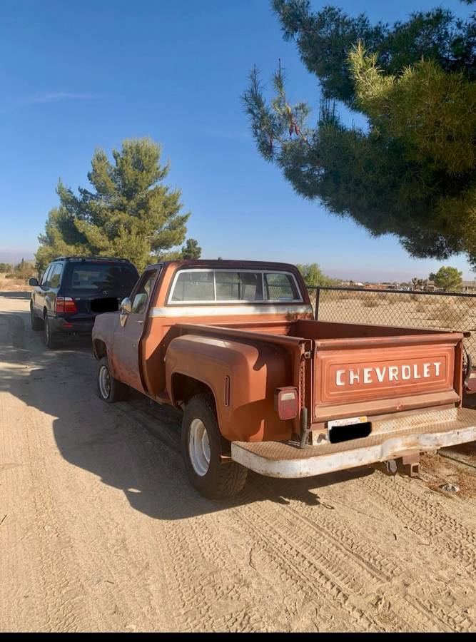 Chevy-c10-1977-brown