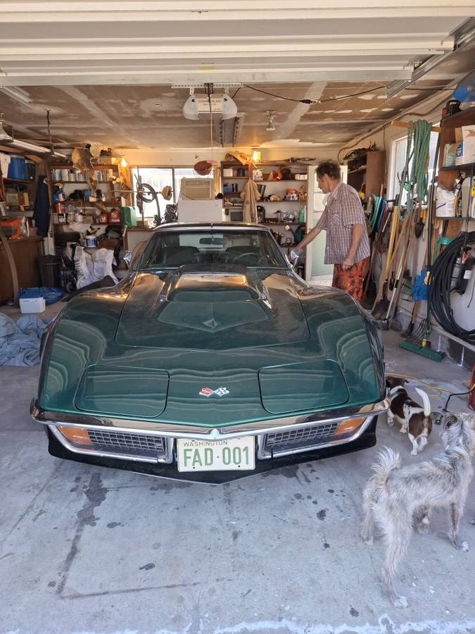 Chevy-corvette-stingray-coupe-1971-green