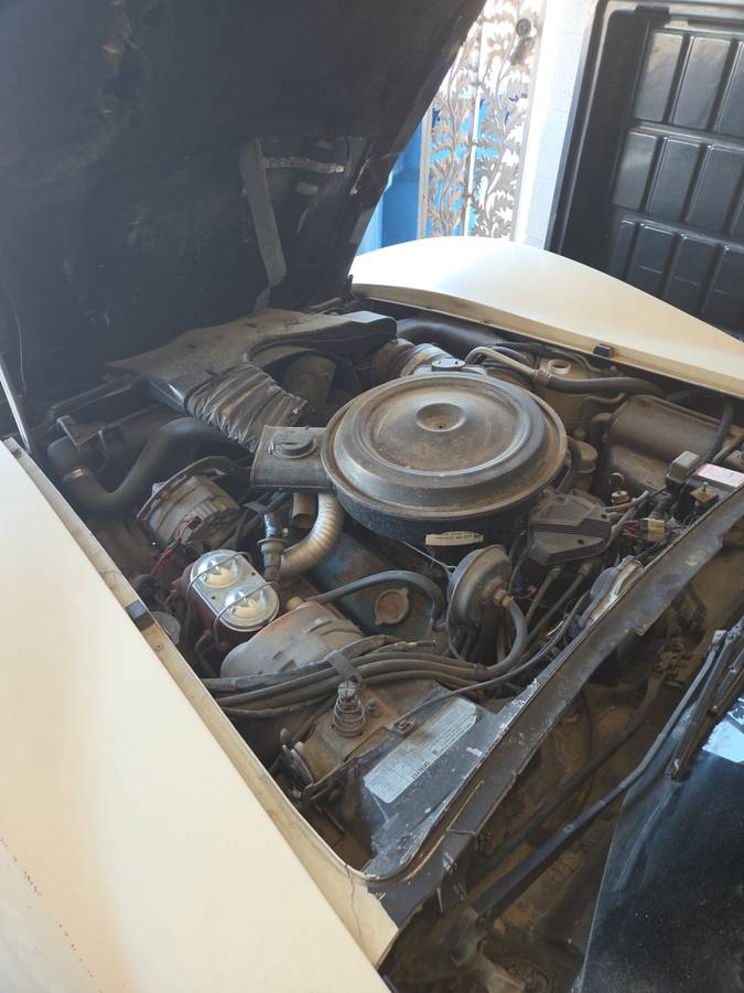 Corvette-1979