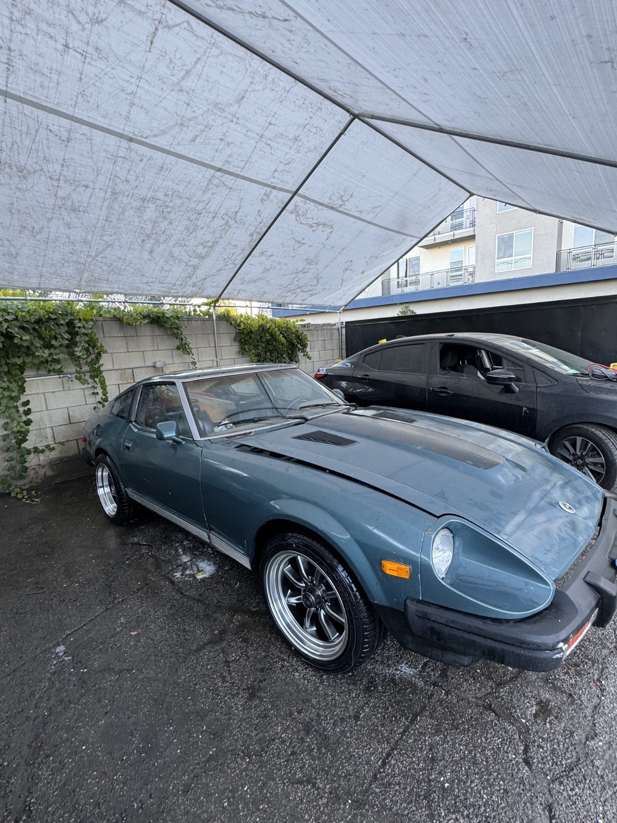 Datsun Z-Series 1981