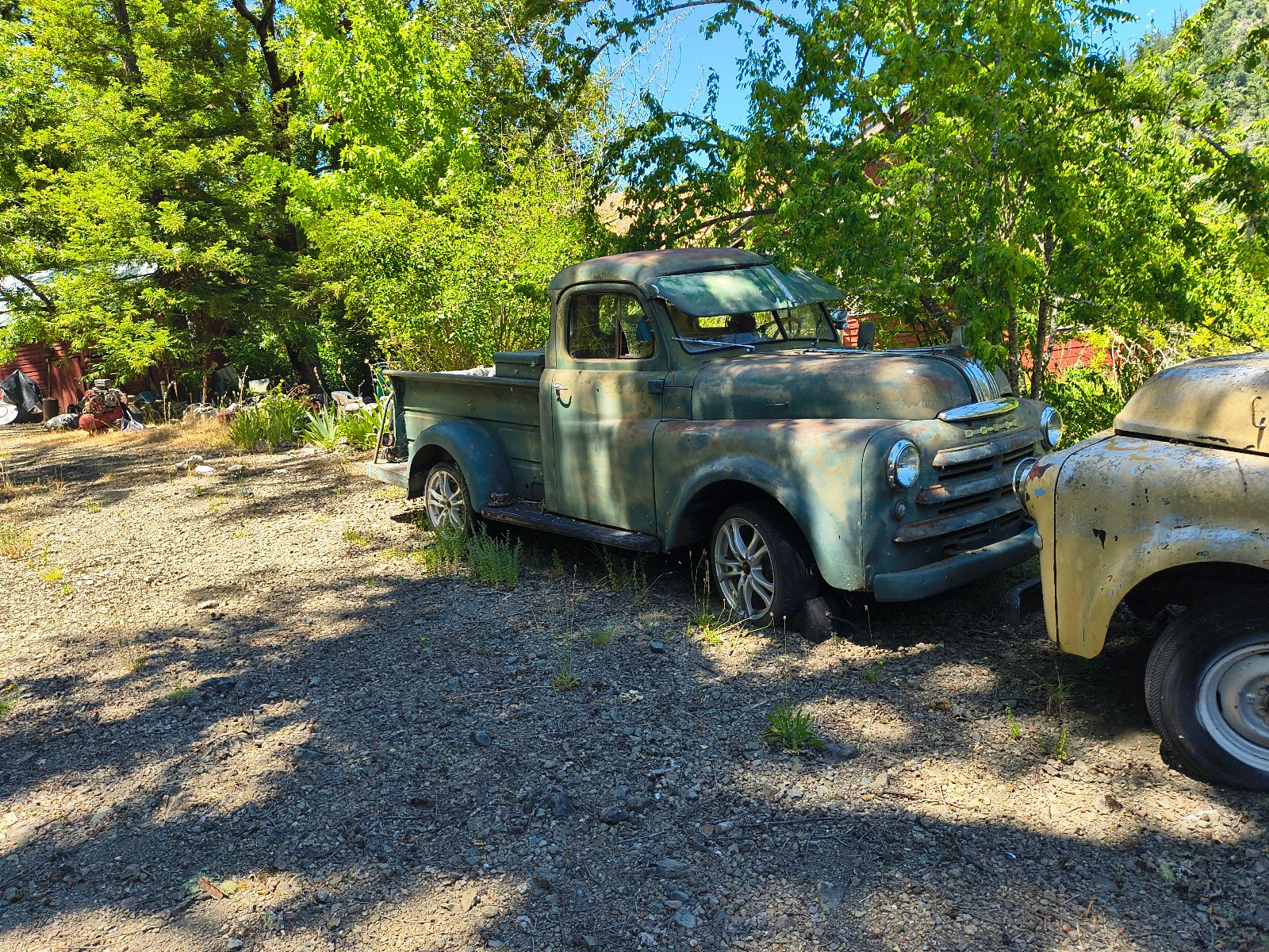Dodge-12-Ton-Pickup-1950-Standard-Cab-Pickup