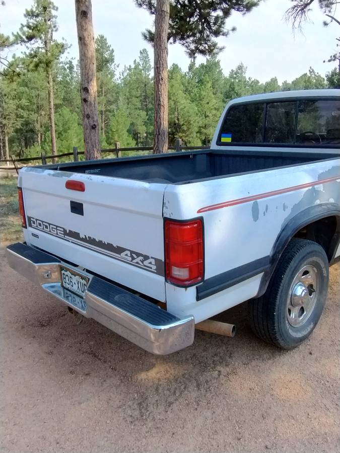 Dodge-1995-white