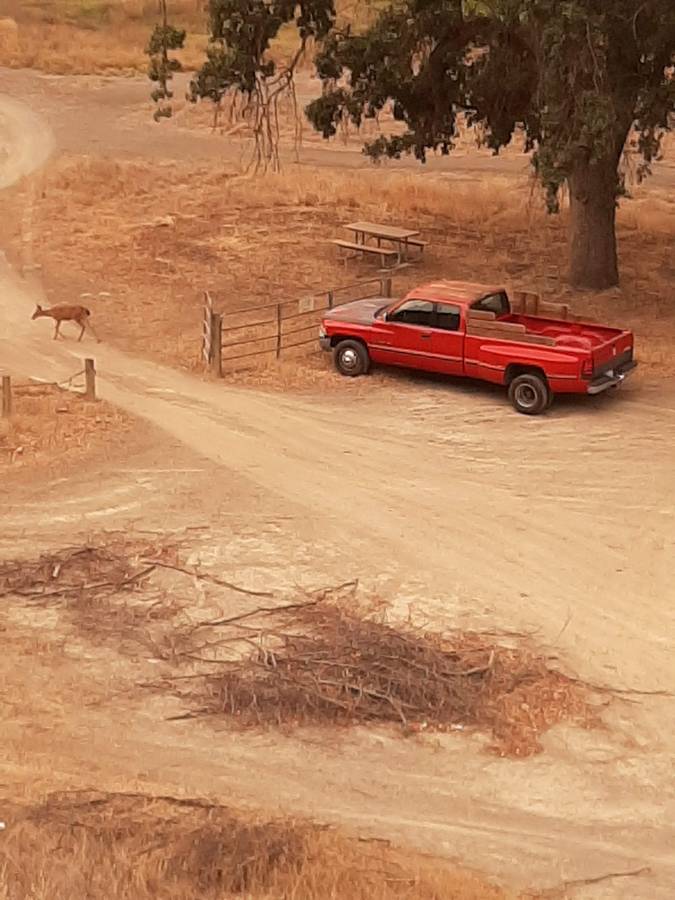Dodge-3500-dually-slt-laramie-1996-red