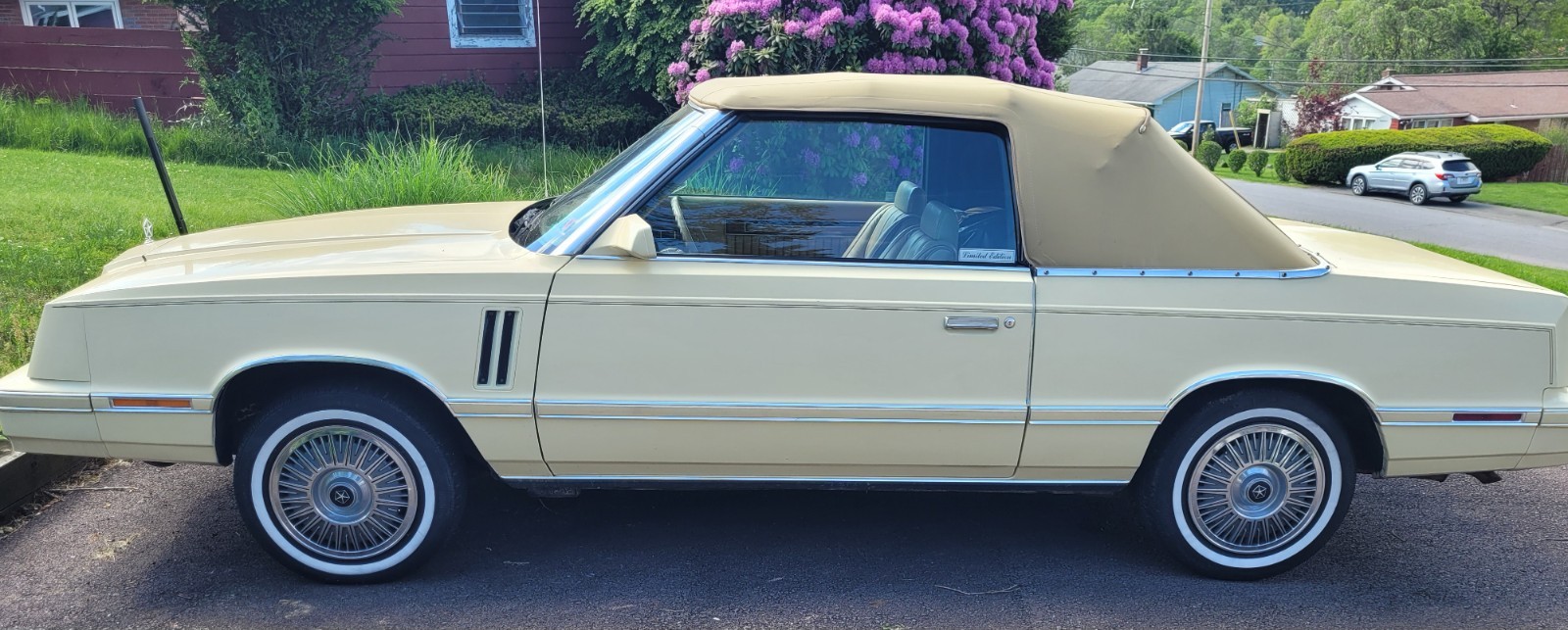 Dodge-400-1982-Convertible-Tan