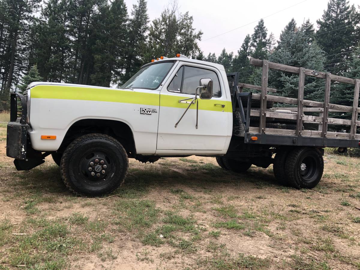 Dodge-Custom-450-1981-white