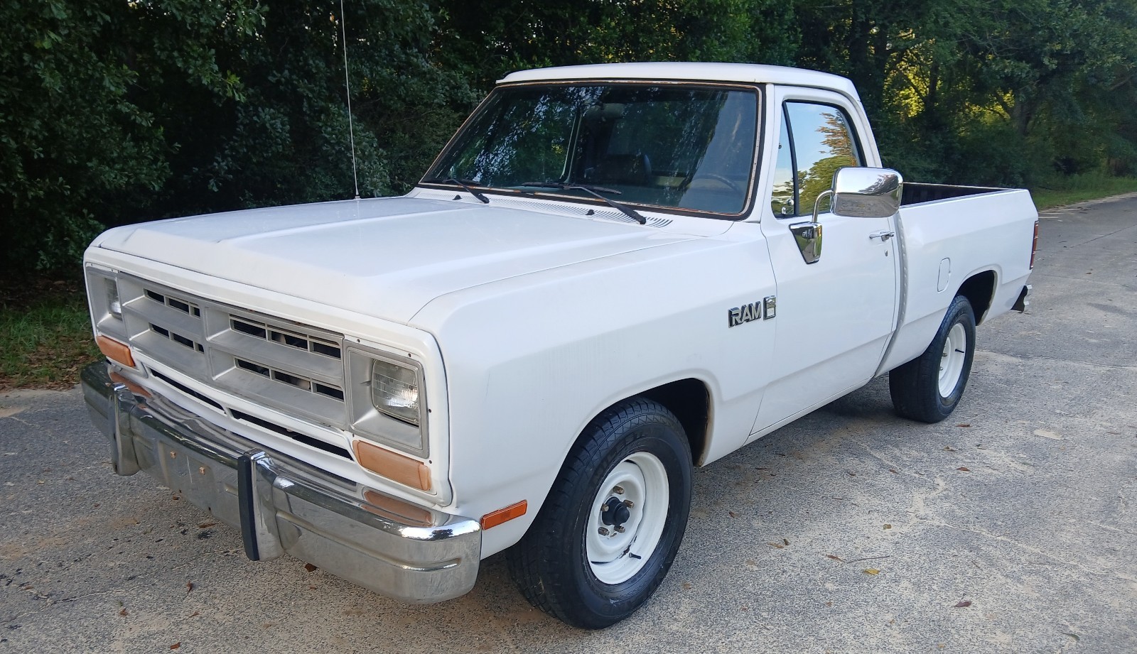 Dodge D-Series 1990