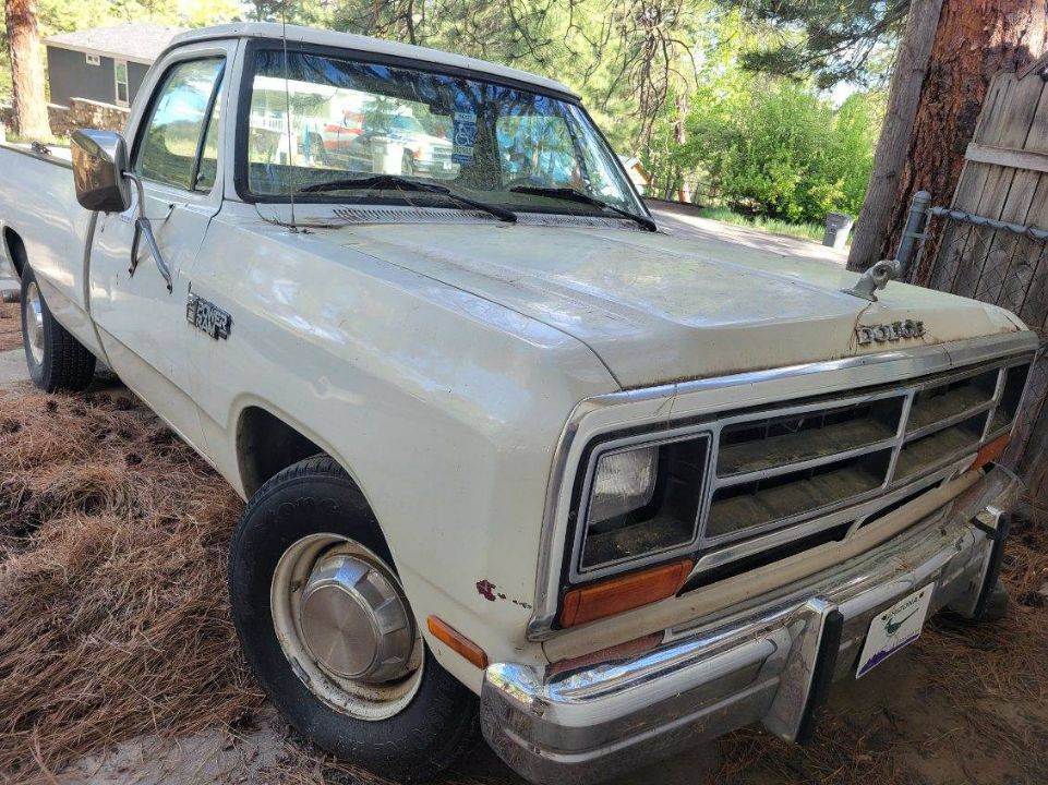 Dodge-D-series-conventional-cab-250-job-rated-1985-White