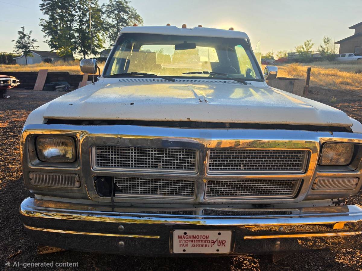 Dodge-D-series-d300-1993-white