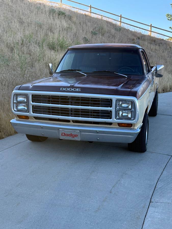 Dodge-D100-1979-brown