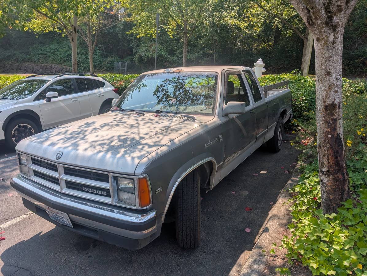 Dodge-Dakota-1990-grey
