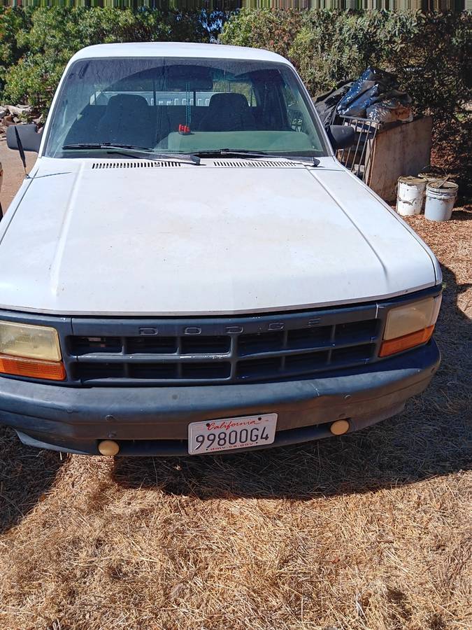 Dodge-Dakota-sport-1994-white