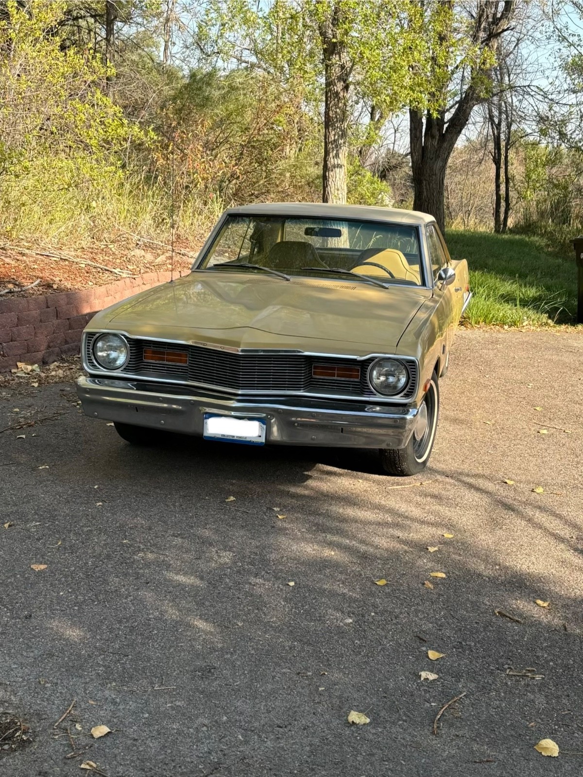 Dodge Dart 1976