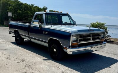 Dodge Other Pickups 1989