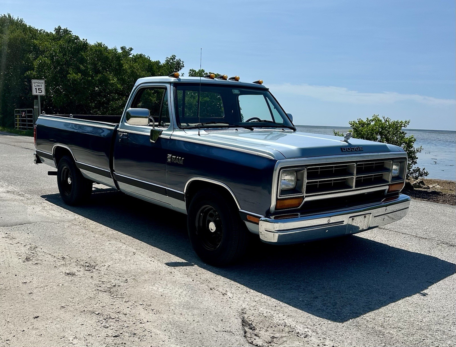 Dodge-Other-Pickups-1989-Standard-Cab-Pickup-Blue