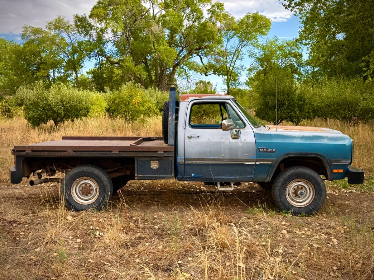Dodge-Ram-250-4x4-1991-blue