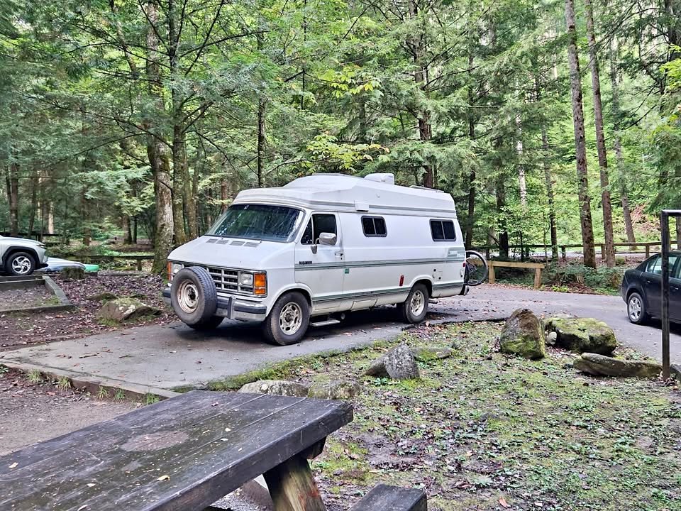 Dodge-ram-van-350-1991