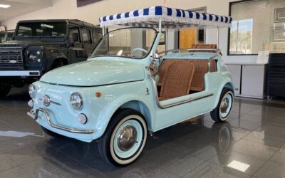 FIAT JOLLY 1967