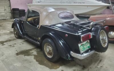 Fiat Siata Spring 1970