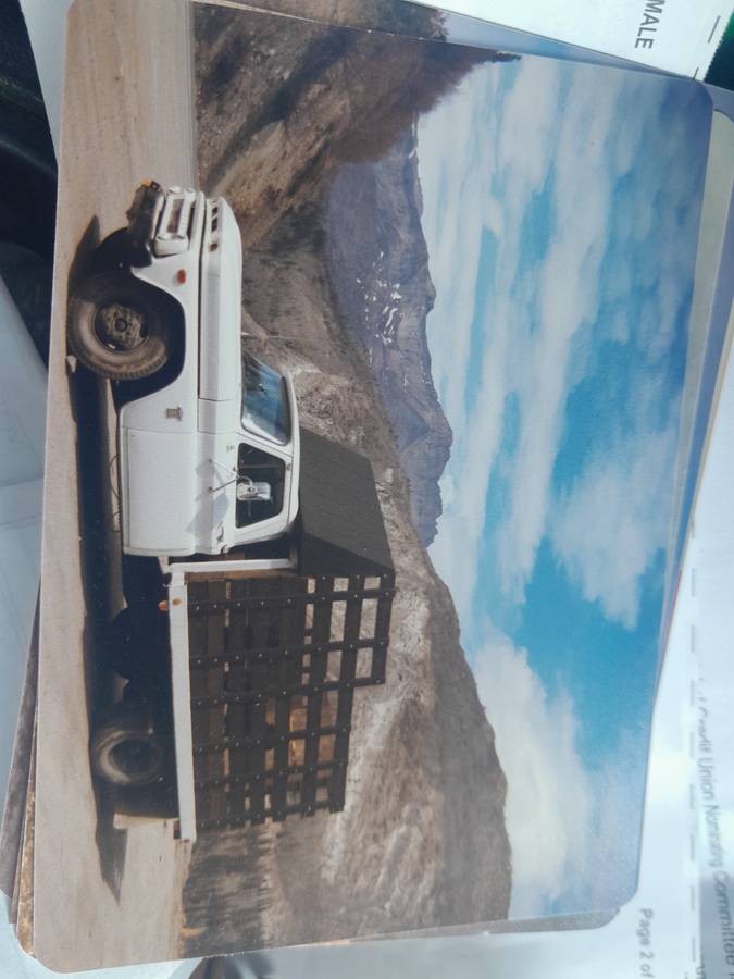 Flatbed-dually-1964-white