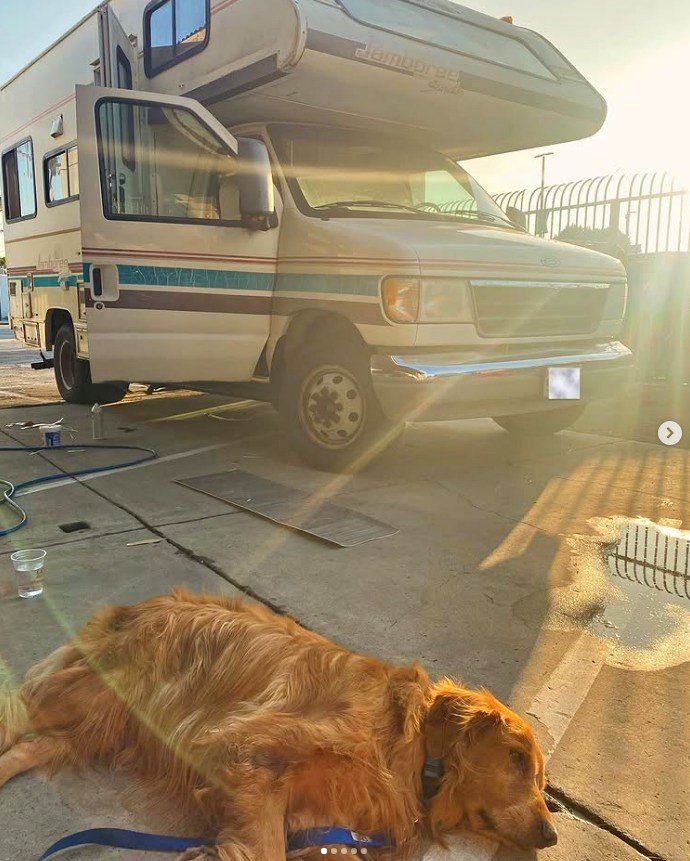 Ford-E350-jamboree-searcher-1994