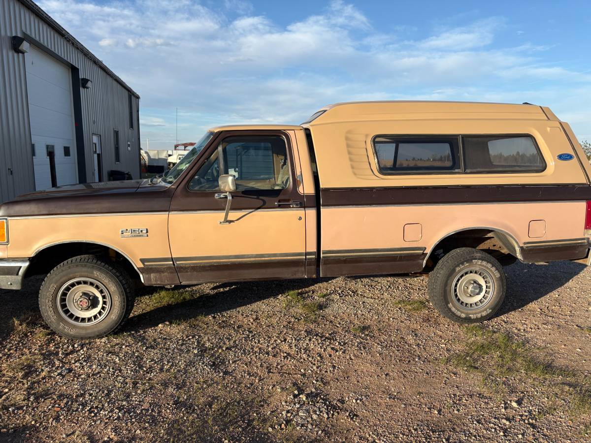 Ford-F-150-1989-brown