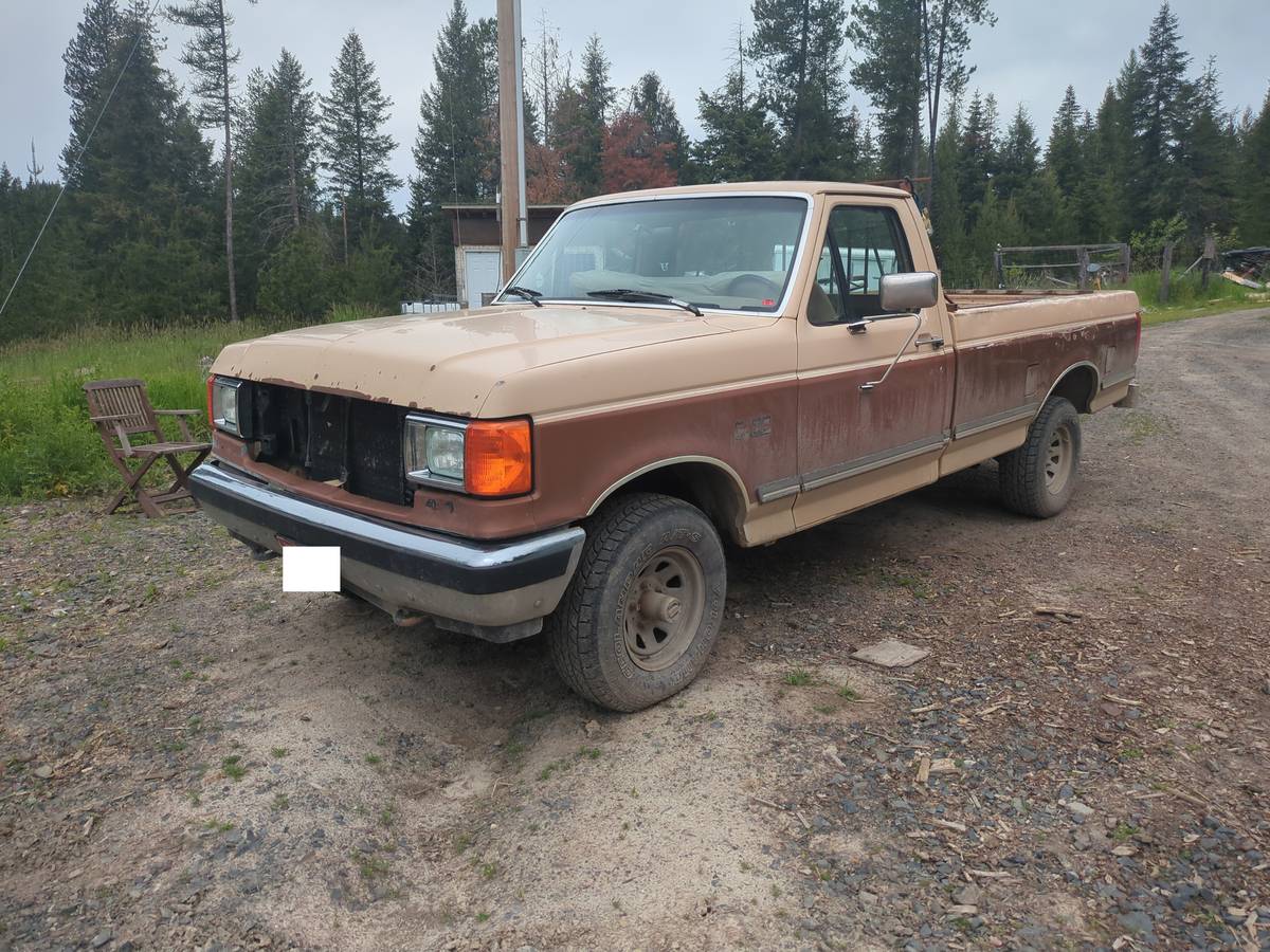 Ford-F-150-1991-brown