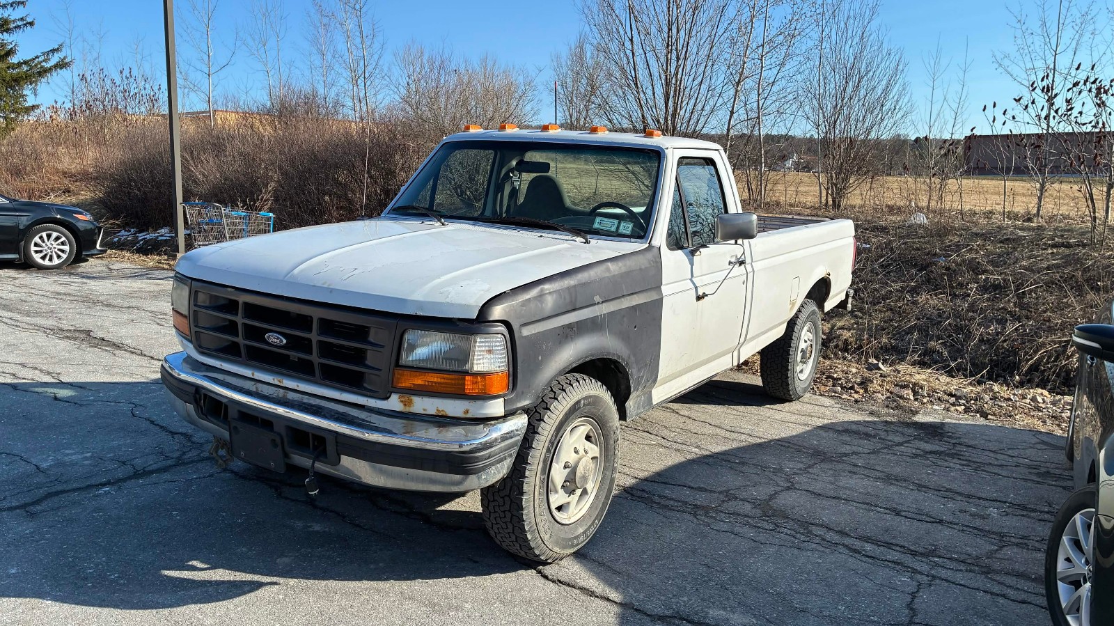 Ford-F-250-1996-Standard-Cab-Pickup-Gray