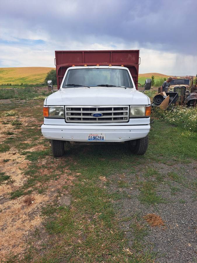 Ford-F-350-1990-white Ford-F-350-1990-white