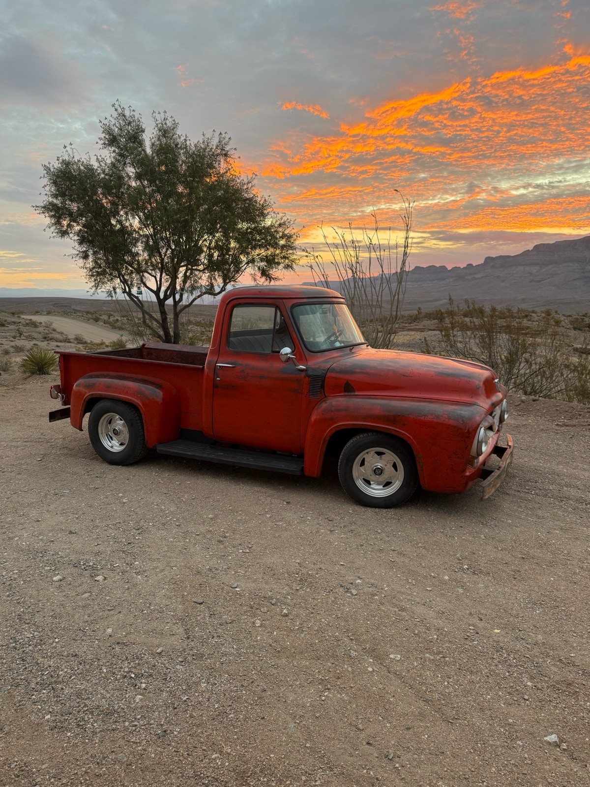 Ford F100 1955