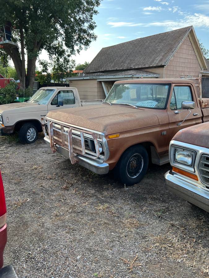 Ford-F100-1976-brown