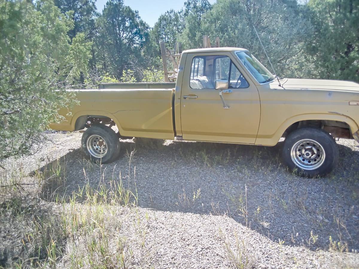 Ford-F150-pickup-4wd-1981-yellow
