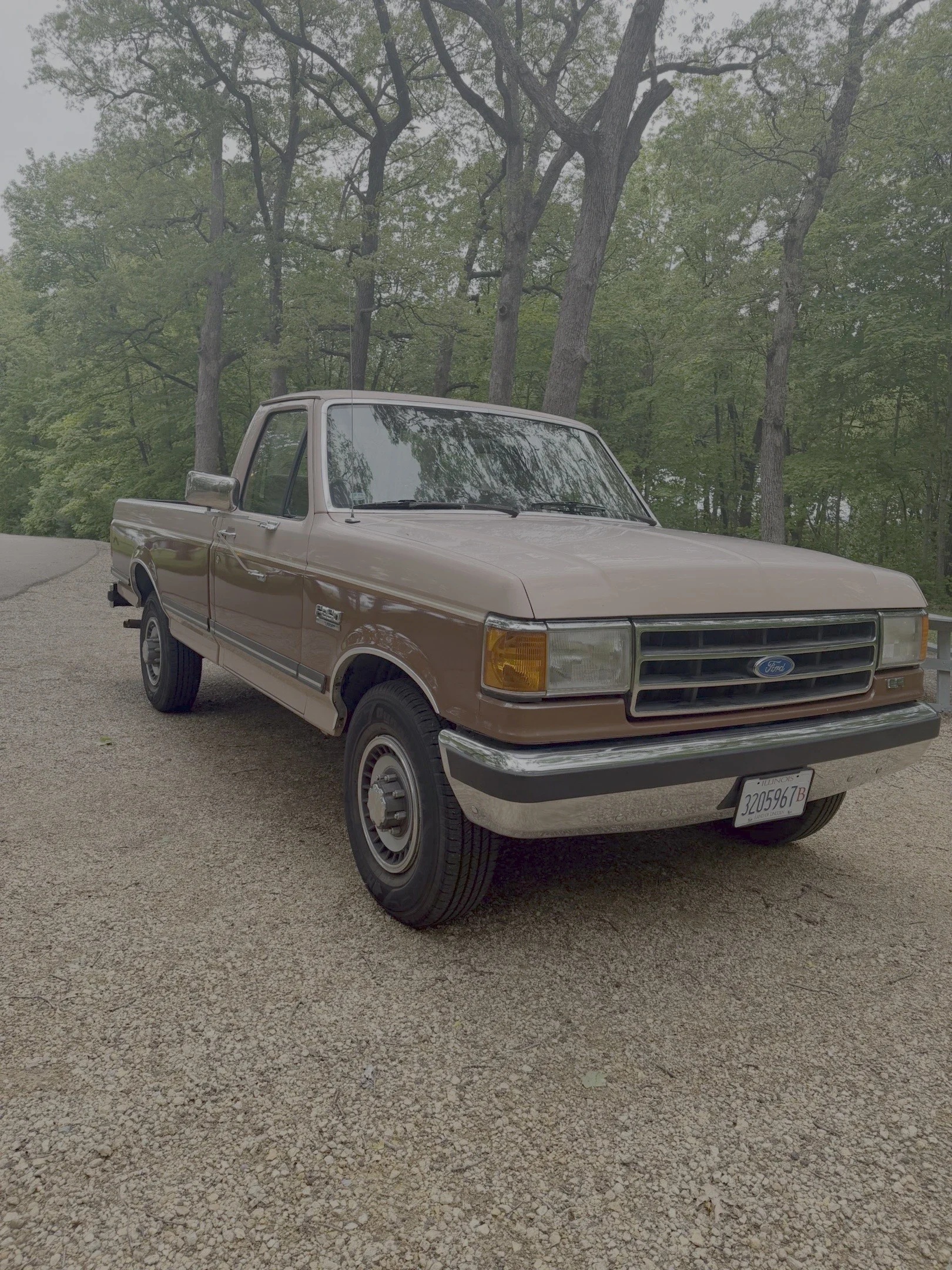 Ford-F250-1989-Brown-Tan