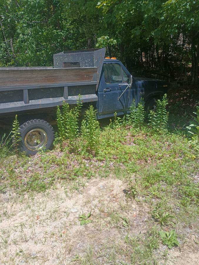 Ford-F350-dump-truck-1986-blue