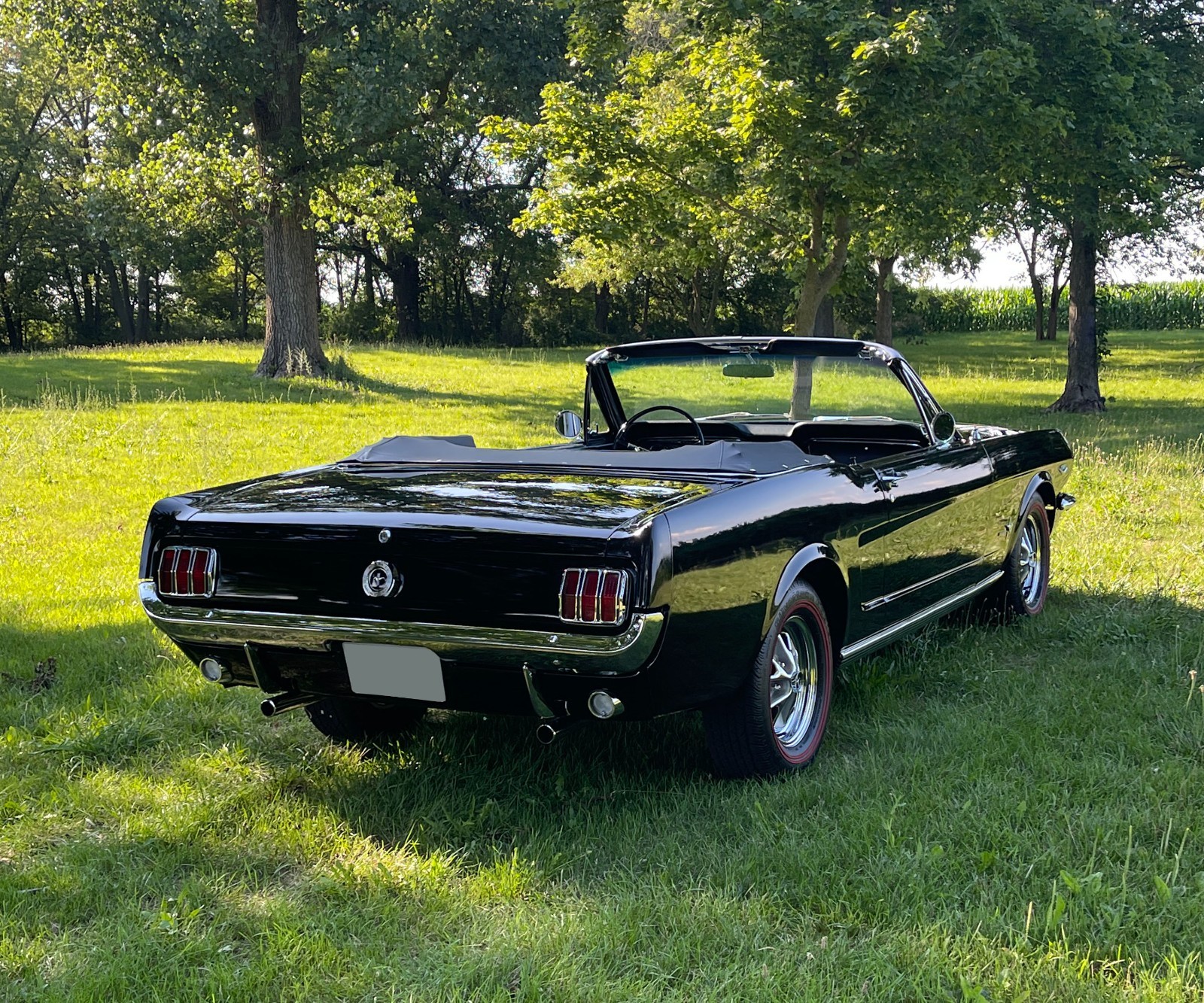 Ford Mustang 1965