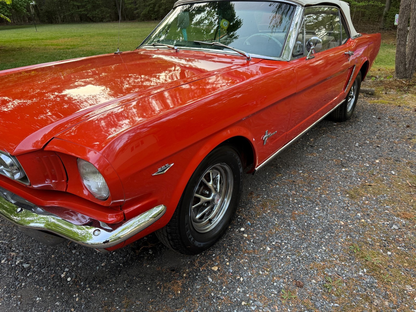 Ford Mustang 1965