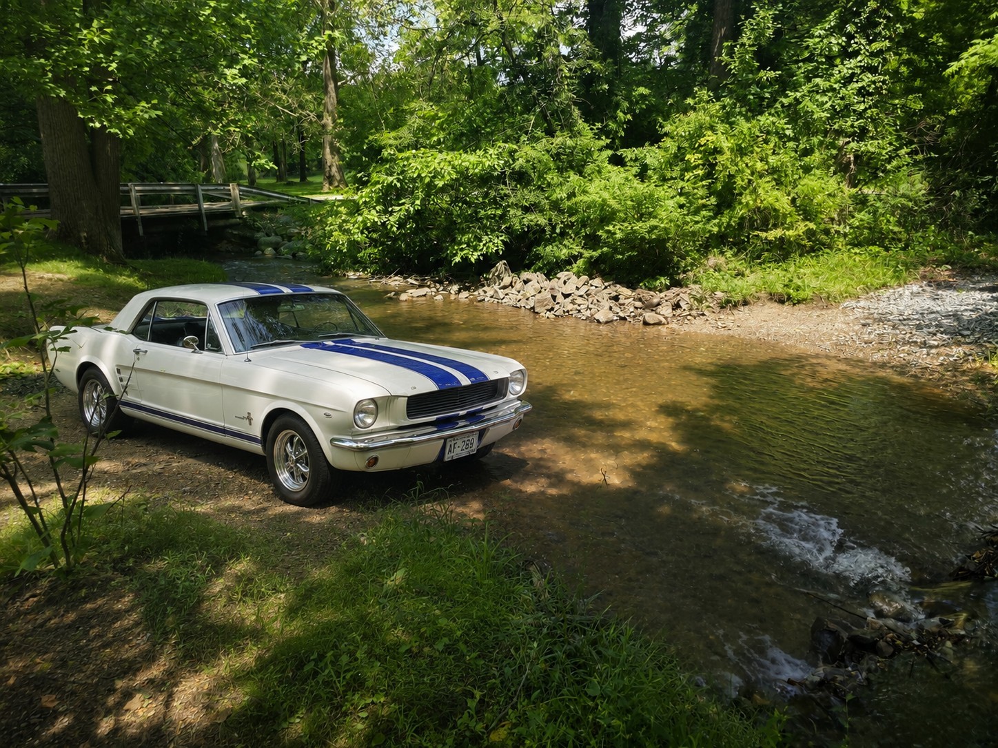 Ford Mustang 1966